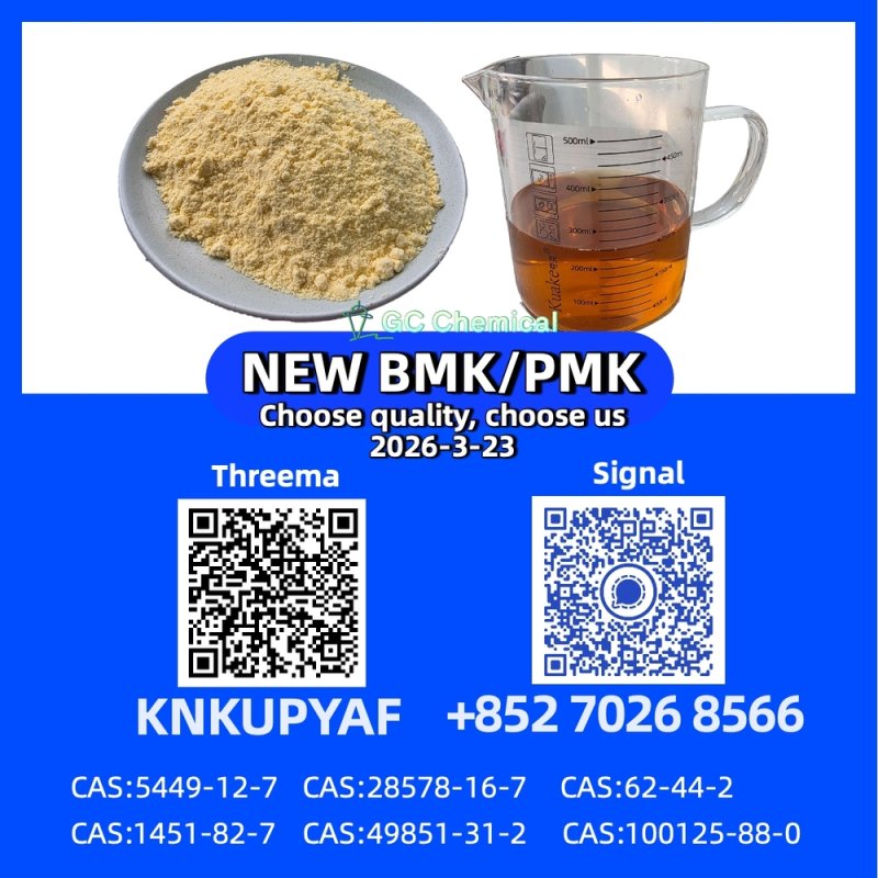 Immediate Shipment 28578-16-7 P.M.K CAS 5449-12-7 New B.M.K
