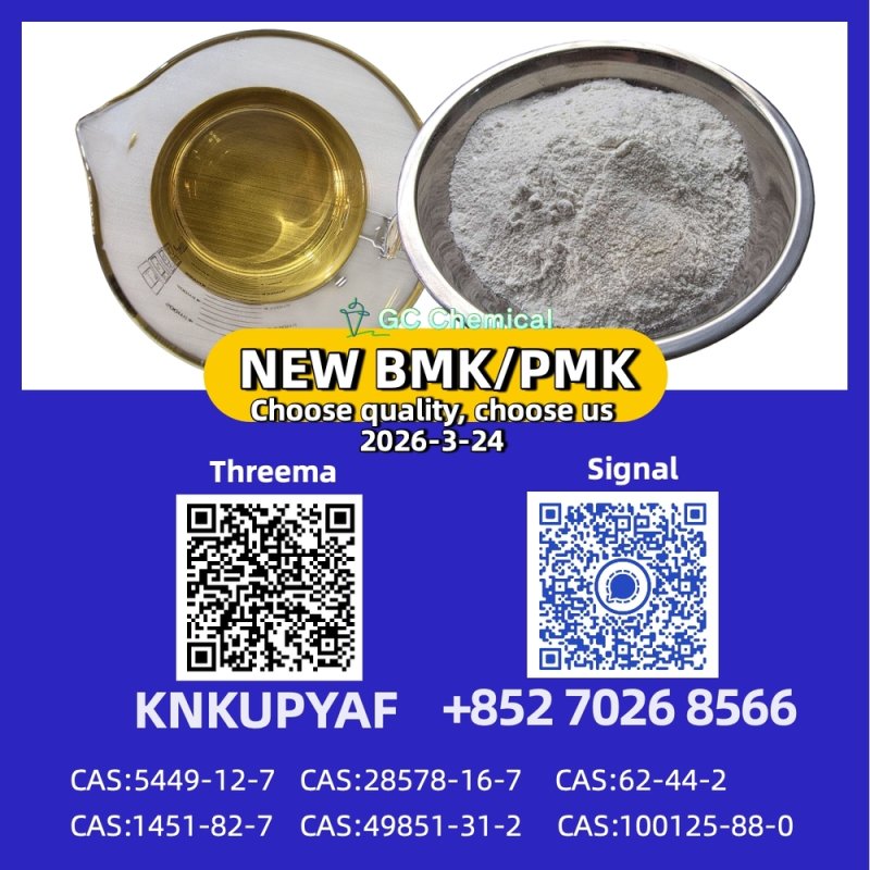 CAS 28578-16-7 New P.MK/ B.M.K Powder CAS 5449-12-7 | High Quality