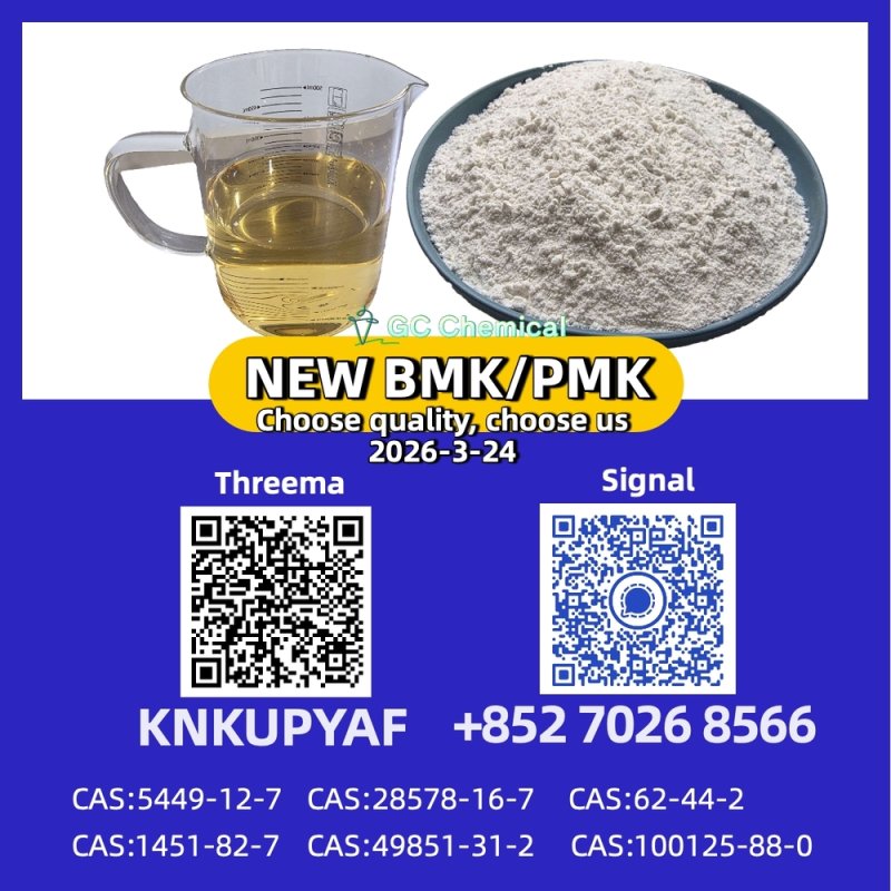 28578-16-7 B.MK Powder 5449-12-7 99% Pure and New PM.K