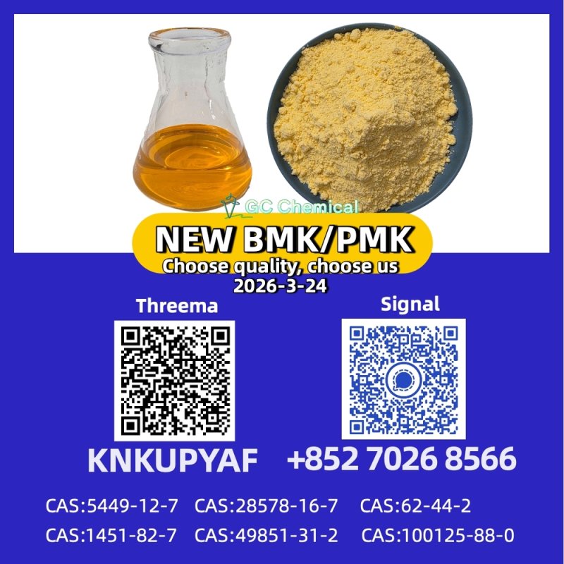 28578-16-7 New P.MK/BM.K CAS 1451-82-7 Trusted Partner Supply 5449-12-7