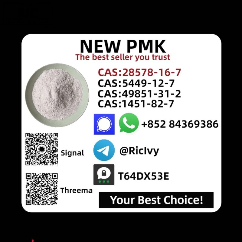 China Reliable Supplier PM.K CAS 28578-16 -7