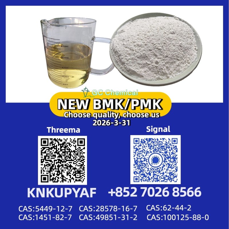 Competitive Rates PM.K 28578-16-7 with BM.K CAS 5449-12-7