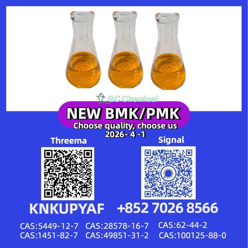 Global Supplier PM.K CAS 28578-16-7 | Fast Logistics & Safe Packaging