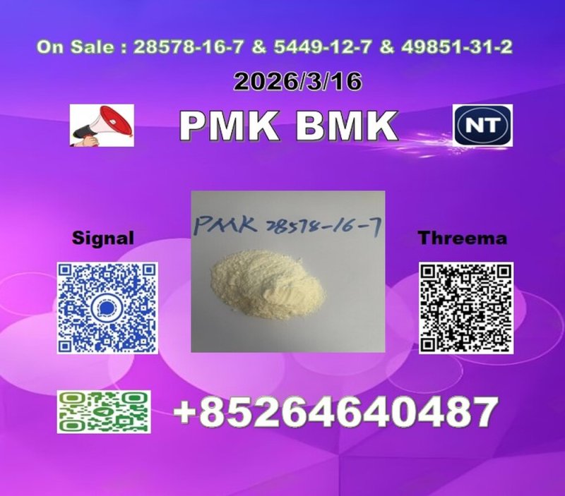 Buy Low price P.MK 28578-16-7 1369021-80-6 & B.MK 5449-12-7 big factory