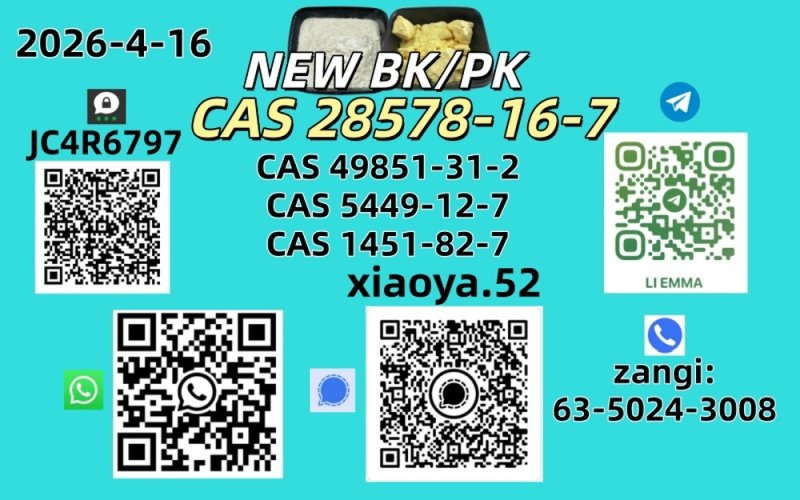 NEW BMK/PMK CAS 49851-31-2 CAS 28578-16-7In Stock