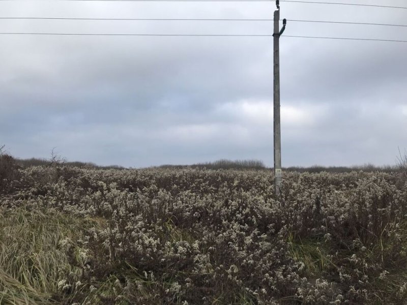 Kis-Balaton mellett 9,7 hektáros külterület eladó