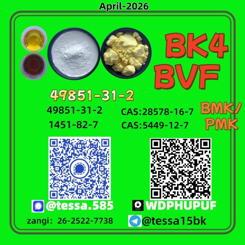 49851-31-2 28578-16-7 B.MK Powder 5449-12-7  PM.K