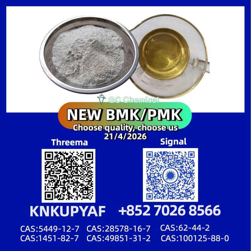 PM.K CAS 28578-16-7 shipment-ready, BM.K CAS 5449-12-7 prepared