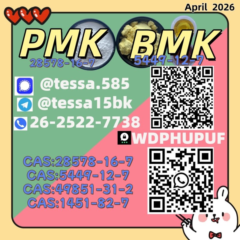49851-31-2 28578-16-7 B.MK Powder 5449-12-7 PM.K