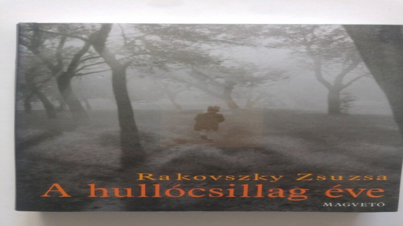 Rakovszky Zsuzsa A hullócsillag éve