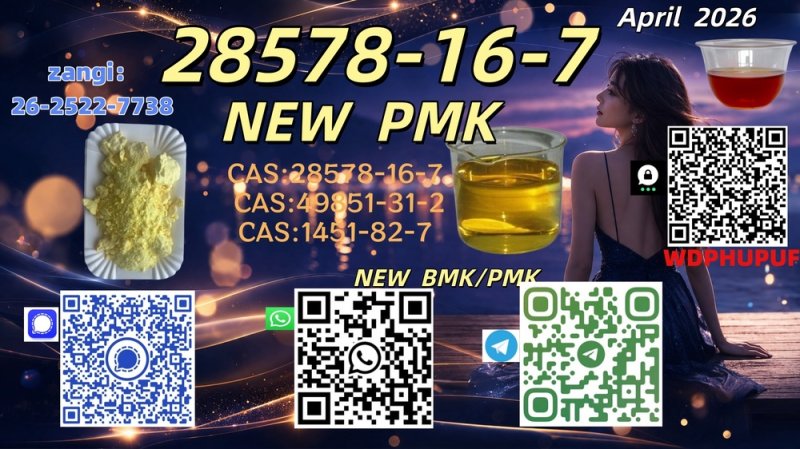 28578-16-7 B.MK Powder 5449-12-7 PM.K 49851-31-2