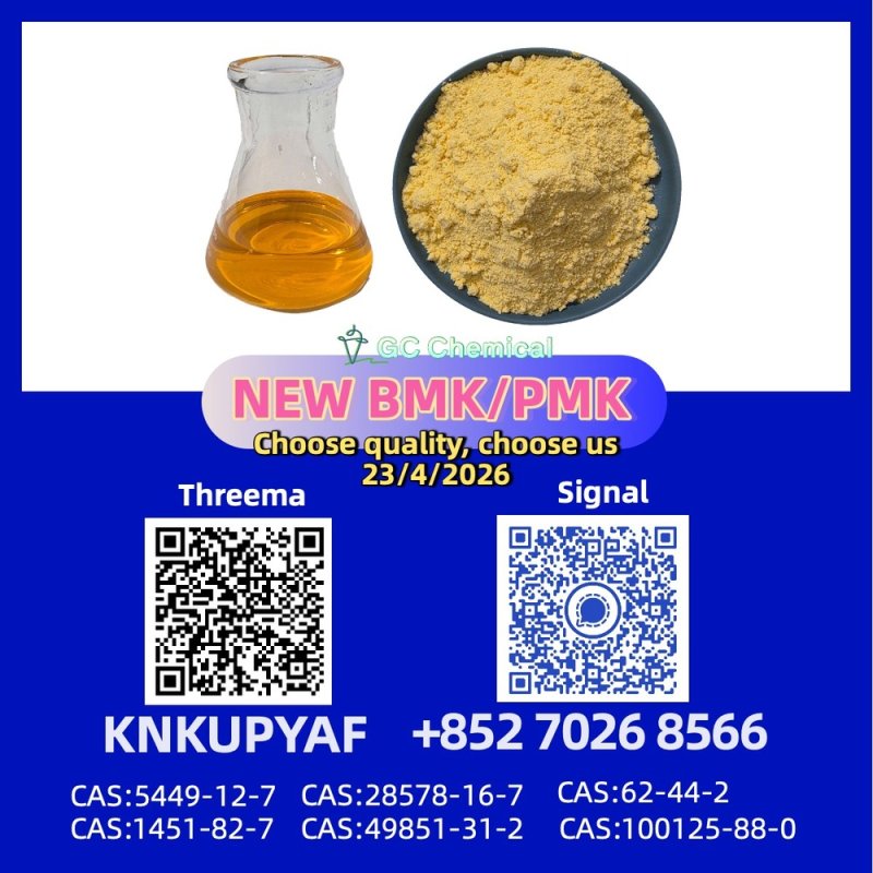 PM.K CAS 28578-16-7 steady stock BM.K 5449-12-7