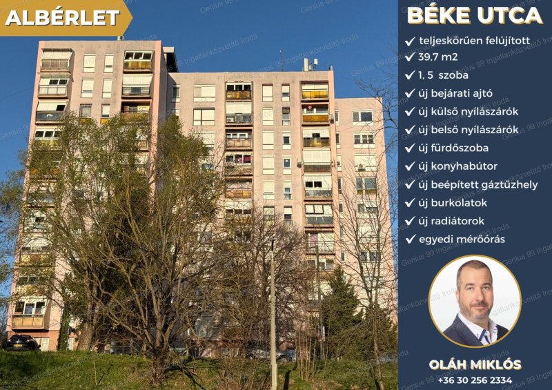 Kaposváron a Béke utcában kiadó egy, teljeskörűen felújított, 39 m2-s, 1,5 szobás, egyedi hőmennyiség mérőórával ellátott panellakás.