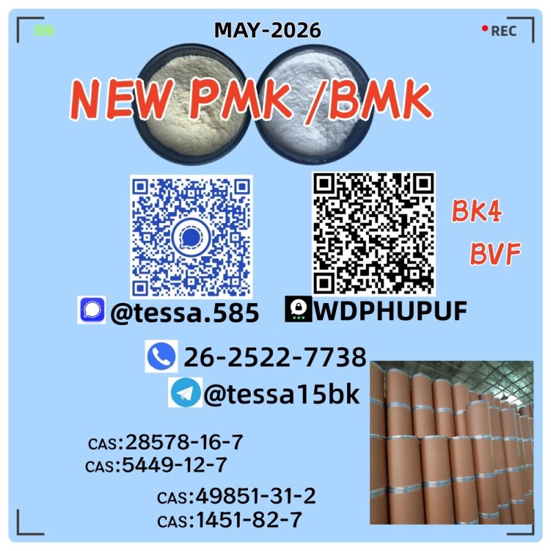 Ethyl Glycidate 28578-16-7 New P.MK Power  BM.K 5449-12-7