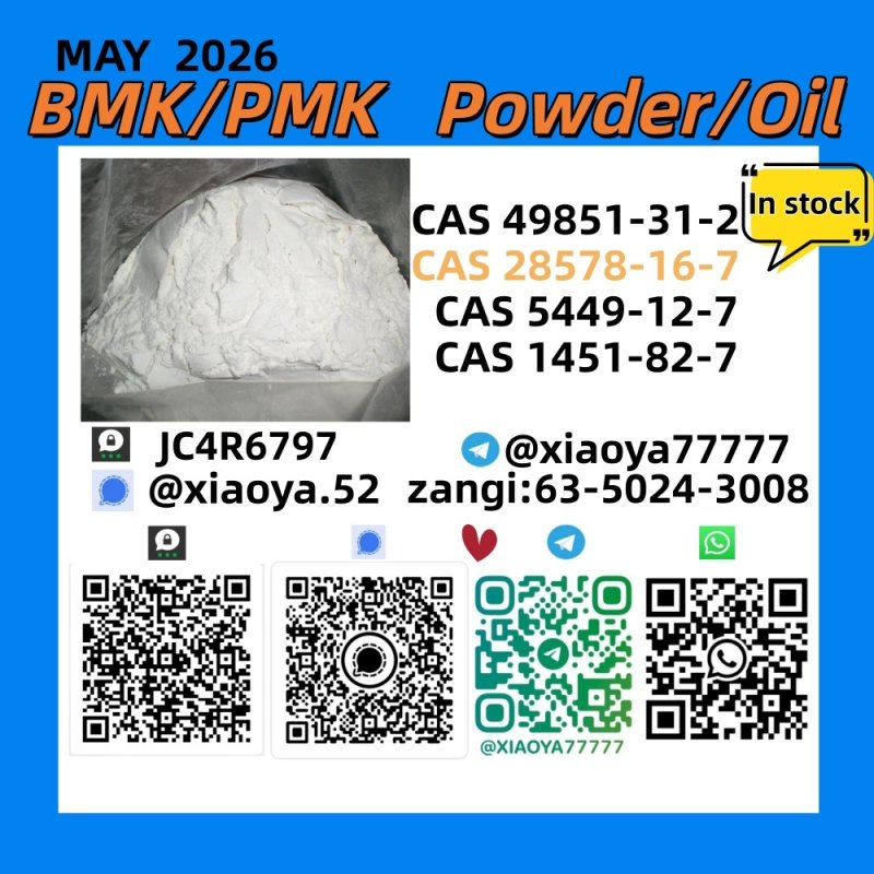 New P.MK BM.K Powder/Oil : 5449-12-7 Delivered safely