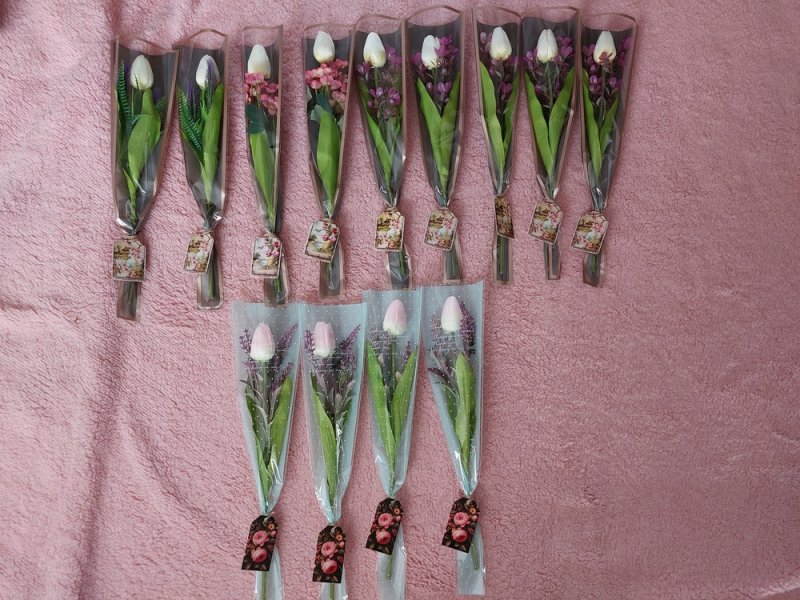 13 szál mű tulipán-csomagolásban, Egyben-olcsón eladók
