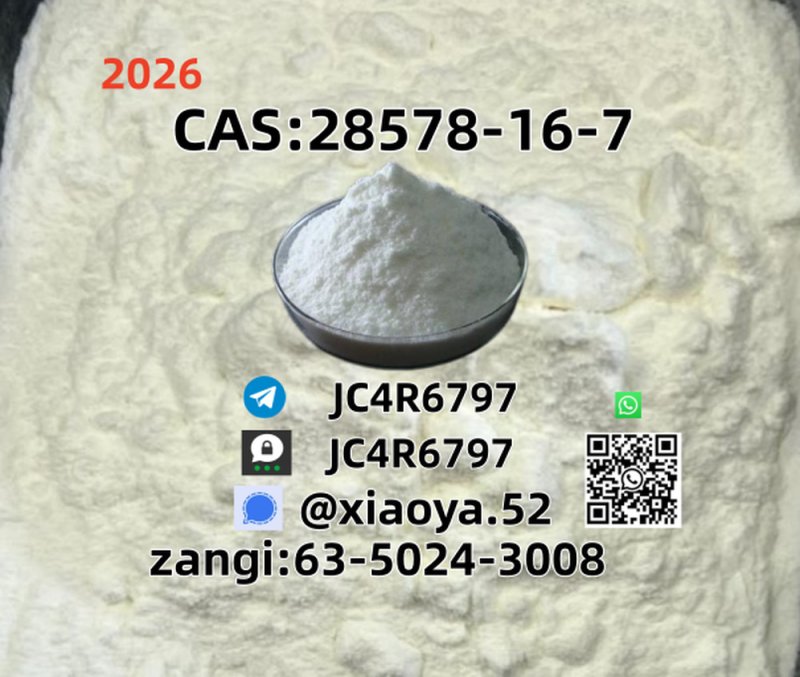 PMK 28578-16-7 CAS: 5449-12-7 Well-Established Factory Supply