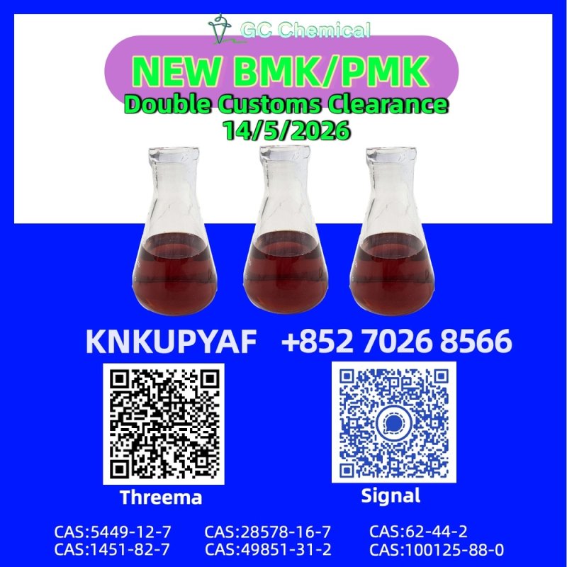 PMK CAS 28578-16-7 Quick Processing