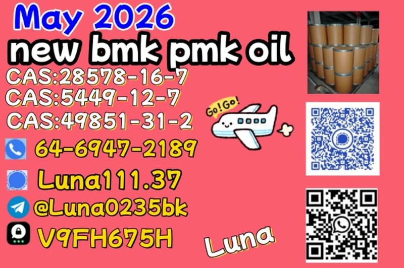 NEW CAS 28578-16-7 P.MK/5449-12-7 BM.K / 49851-31-2/1451-82-7