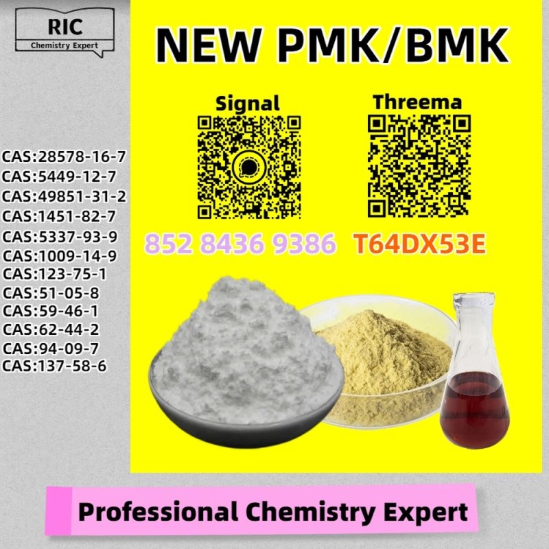 Economical, secure, trustworthy B.MK Powder 28578-16-7 5449-12-7