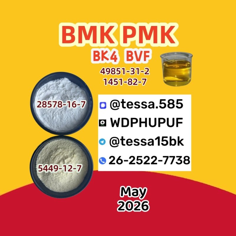 CAS 28578-16-7 Ethyl Glycidate PMK Powder  Analytical Reagents Supplier  5449-12-7 BMK
