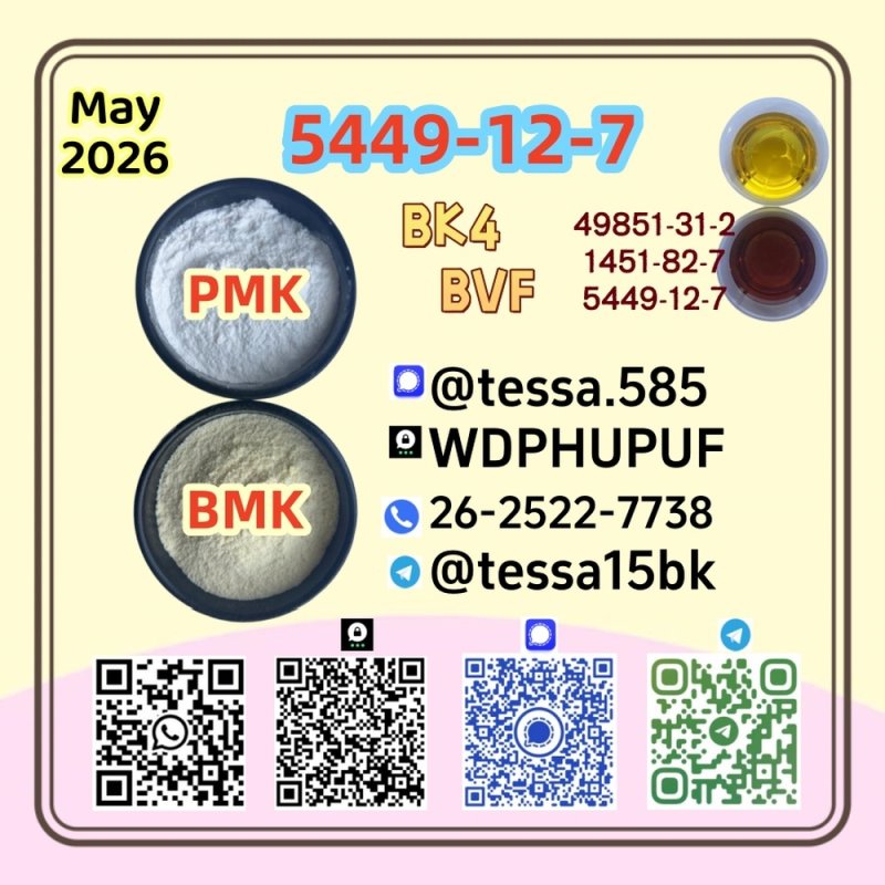 5449-12-7  Glycidic Acid (sodium salt) BMK  99% High Purity  Powder