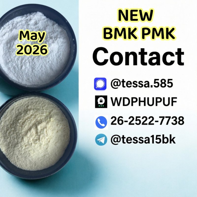 CAS 28578-16-7 pmk  Ethyl Glycidate Organic  White Powder  5449-12-7 BMK 99% High Purity