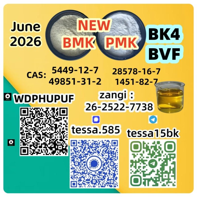 BMK CAS 5449-12-7  Glycidic Acid sodium salt   Organic Yellow Powder  High Yield