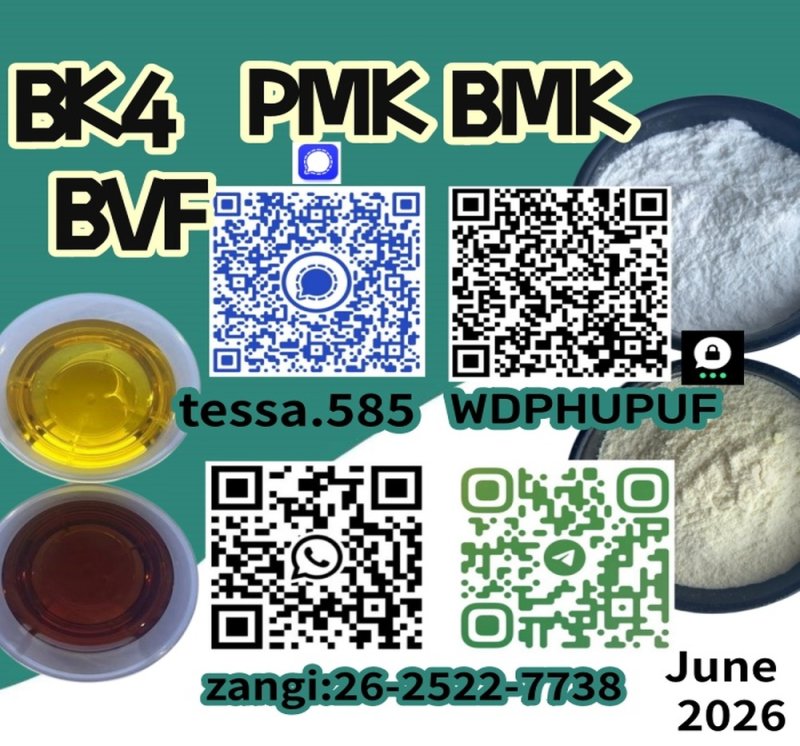 CAS 28578-16-7 pmk  Ethyl Glycidate Organic  White Powder 99% High Purity