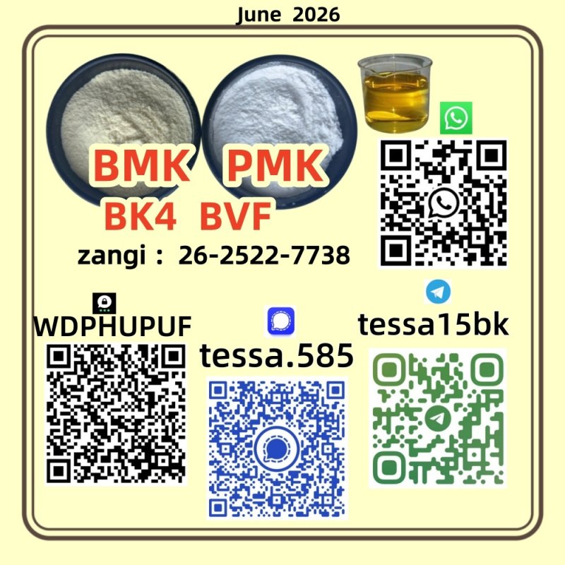 CAS 28578-16-7 pmk  Ethyl Glycidate Organic  White Powder  5449-12-7 BMK 99% High Purity