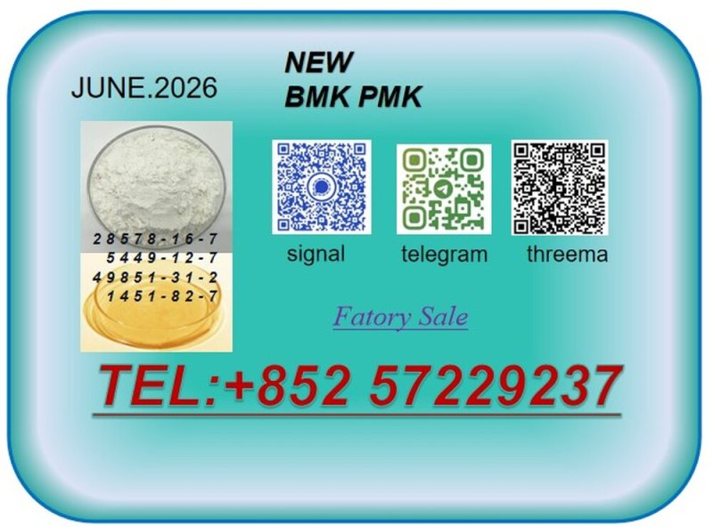 Good  Price CAS 28578-16-7CAS 49851-31-2 High Purity B.MK