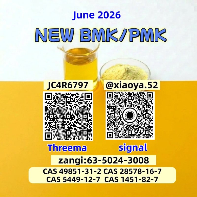 PM.K CAS 28578-16-7 backed by BM.K 5449-12-7 reserves Well-Established Factory Supply