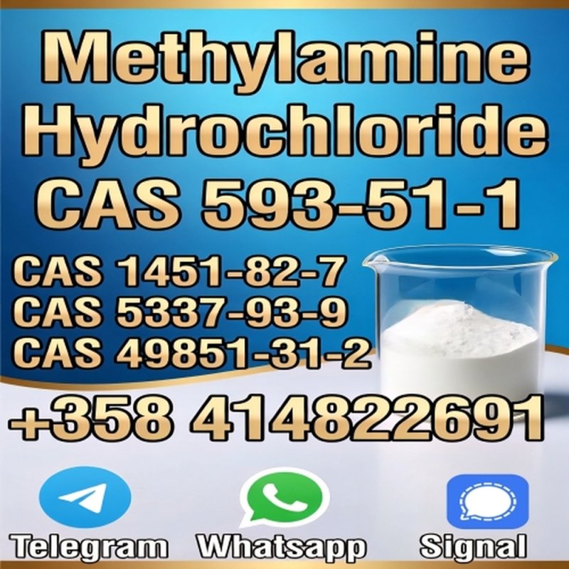 Buy High Quality CAS 593-51-1 Methylamine Hydrochloride at Best Price