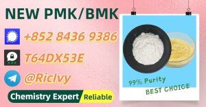 Comprehensive Safety 28578-16-7 Also to be found are B.MK 5449-12-7