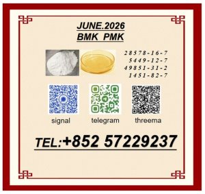 New 28578- 16- 7 P M K High Standard Production
