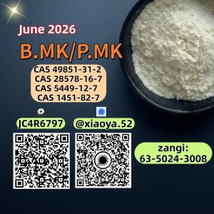 Factory supply  28578-16-7 Pmk Oil