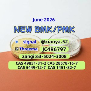 PM.K CAS 28578-16-7 using B.MK Powder 5449-12-7 Original Manufacturer