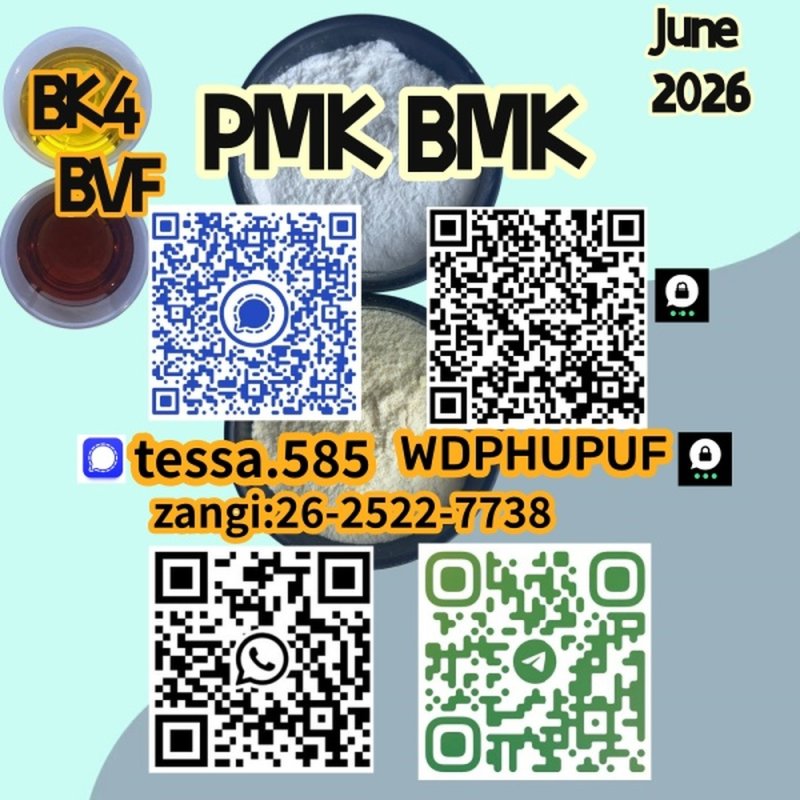5449-12-7  BMK Glycidic Acid sodium Specialty Chemicals Bulk Supplier Europe