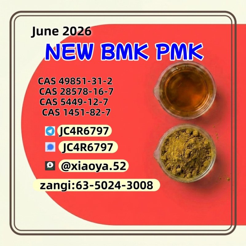 CAS 5449-12-7 BM.K and cas 28578-16-7 PM.K /New product in stock