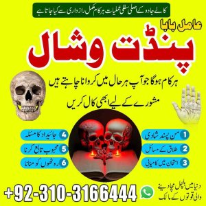 love Relationship Problem Solution 03103166444 amil baba in karachi dubai no1 amil baba #kala jadu