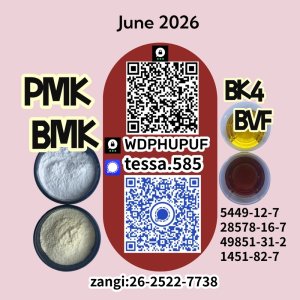CAS 5449-12-7BMK Powder Glycidic Acid sodium salt 28578-16-7 PMK Analytical Reagents Supplier