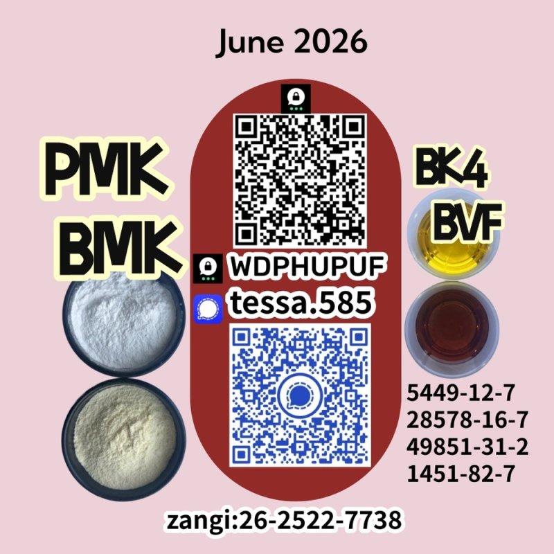 CAS 5449-12-7BMK Powder Glycidic Acid sodium salt 28578-16-7 PMK Analytical Reagents Supplier