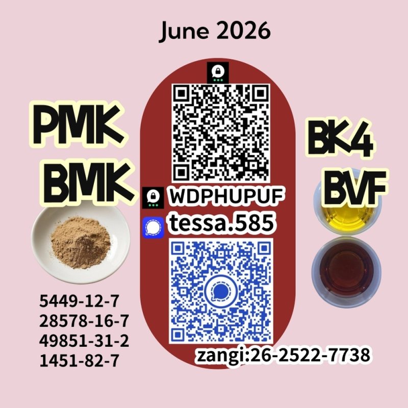 28578-16-7 PMK Industrial Supplier Europe Factory Direct New BMK 5449-12-7 49851-31-2