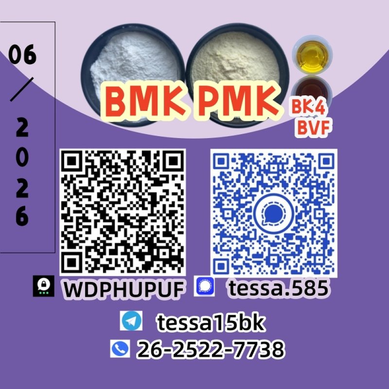Premium quality product cas 28578-16-7 PM.K Ethyl Glycidate and CAS 5449-12-7 BM.K