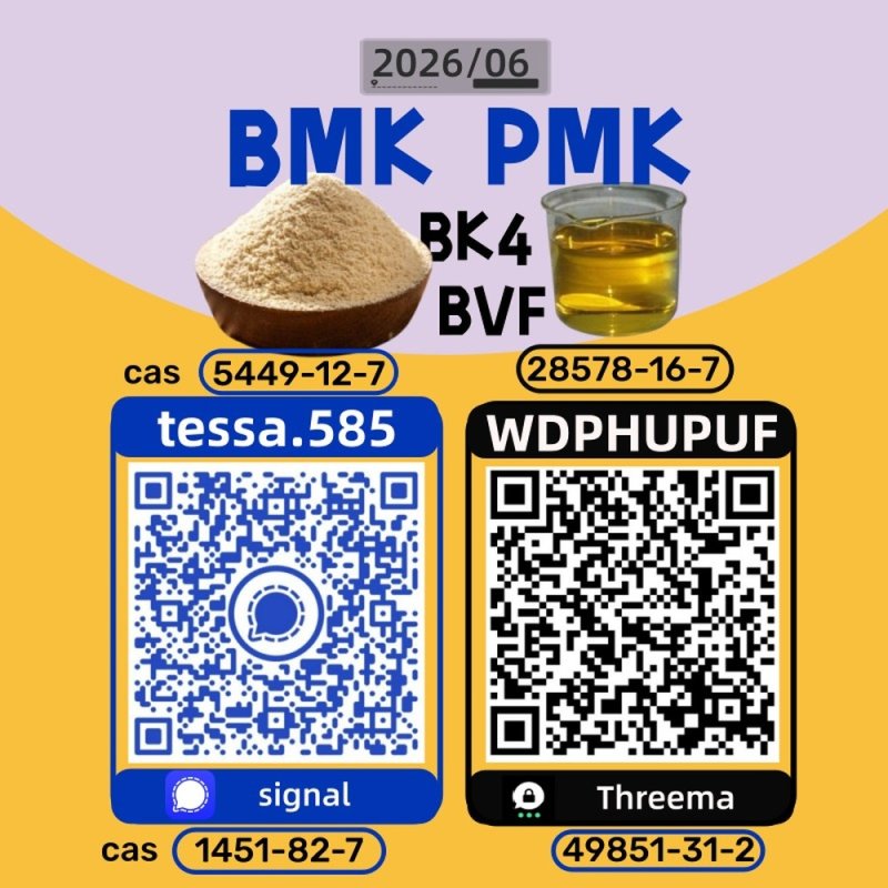 5449-12-7 Secure Cargo Handling  BMK Glycidic Acid sodium 28578-16-7 PMK