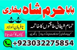 uk, usa, canada, and pakistan amil baba love marriage in canada