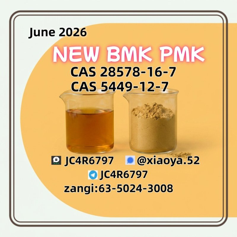 High-Grade P M K Oil (CAS 28578-16-7) | Manufacturer Price