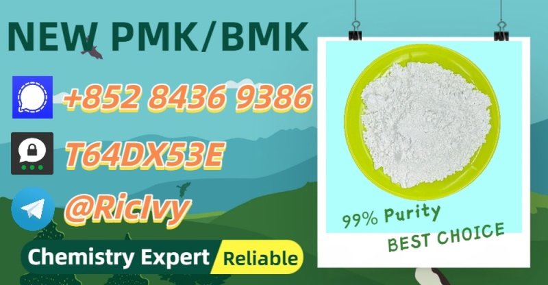 Backup Factory Availability B.MK Powder 28578-16-7 P.MK 5449-12-7