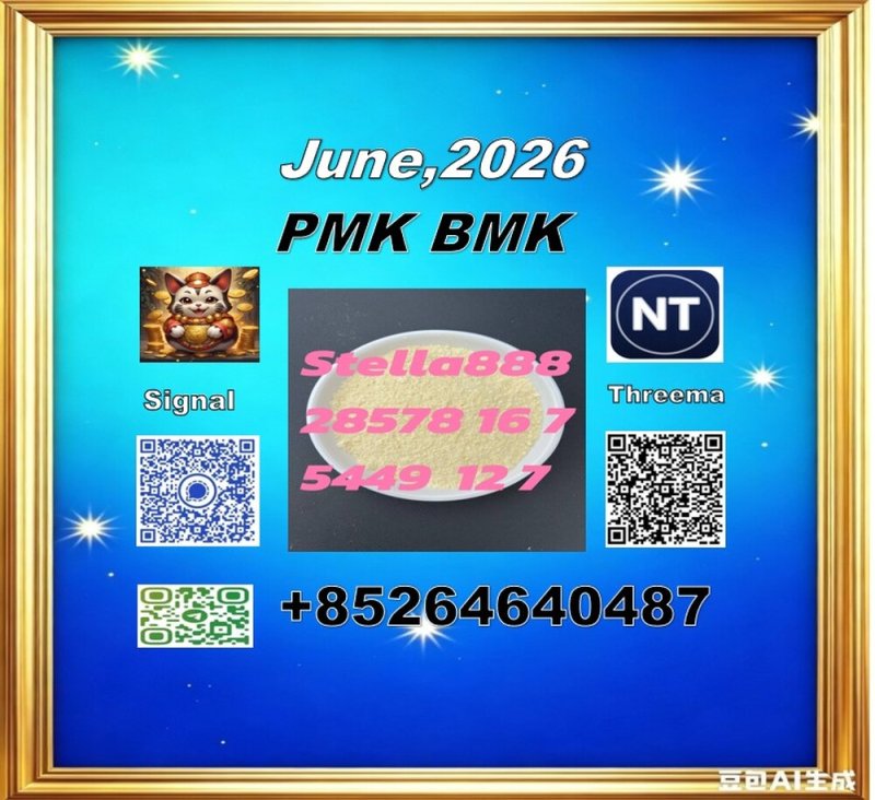 PMK 28578-16-7 | International Logistics Network