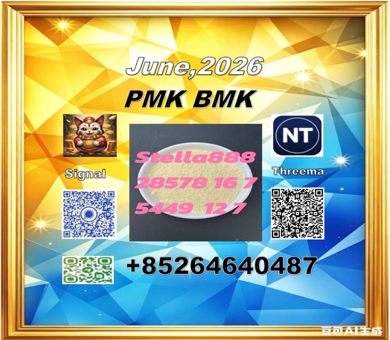 PMK 28578-16-7 | International Logistics Network